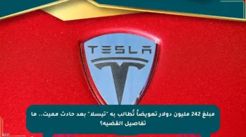 مبلغ 242 مليون دولار تعويضاً تُطالب به “تيسلا” بعد حادث مميت.. ما تفاصيل القضية؟